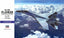 Hasegawa E44 1/72 Scale Model Kit Russian Air Force Sukhoi Su-35S Flanker 01574
