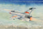 Trumpeter 02824 1/48 JJ-7 Trainer Aircraft Plastic Model Kit