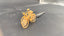 1/35 MSS00072 Bicycle printed models, four units per set