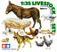 Tamiya 35128 1/35 Scale Military Model Kit Livestock Animal Set