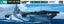 Hasegawa 49710 1/700 Scale Model Kit WWII U.S.S Aircraft Carrier Ticonderoga CV-14