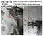 Five star 1/700 WWII IJN Handrails for Upper Structure(Precise Version) FS710210