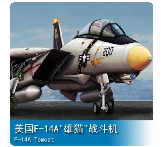 Trumpeter 1/144 03910 F-14A Tomcat — scale model kit