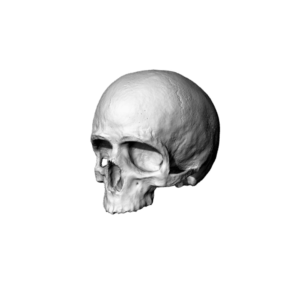 Yao's Studio LYT247 Skull HO/OO/Z/N/TT Railroad Miniature Accessory Display Props Secondary image