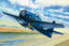 Trumpeter HOBBYBOSS Glue Model 1/48 WWII American F8F-1 Panda Fighter 80356