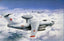 Trumpeter 1/144 03903 Ilyushin A-50 Mainstay