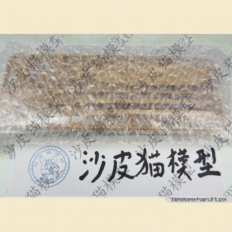 1/700 Dingyuan Ironclad Battleship | Qing Beiyang Fleet Model Kit PS700001